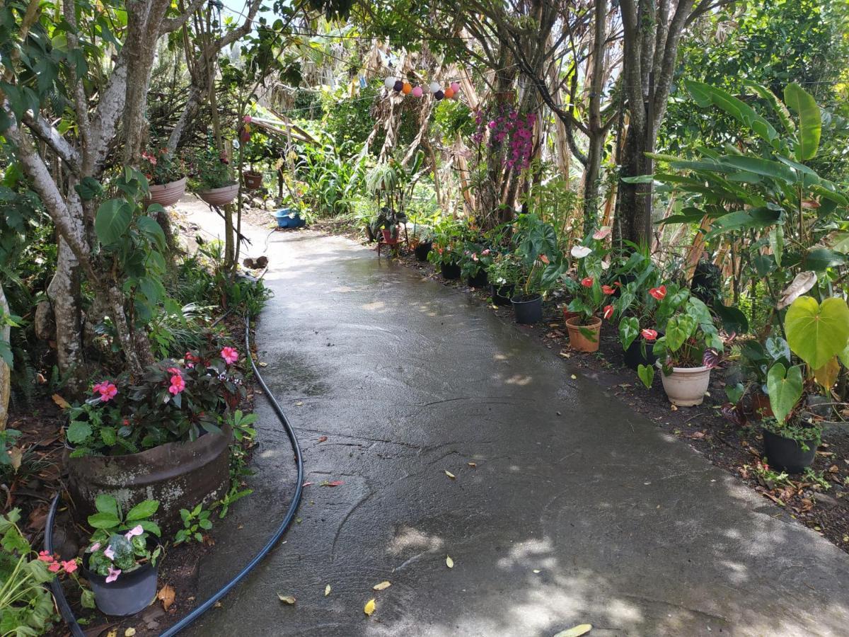 Bed and Breakfast Ker L'Ilet Cilaos Exterior foto