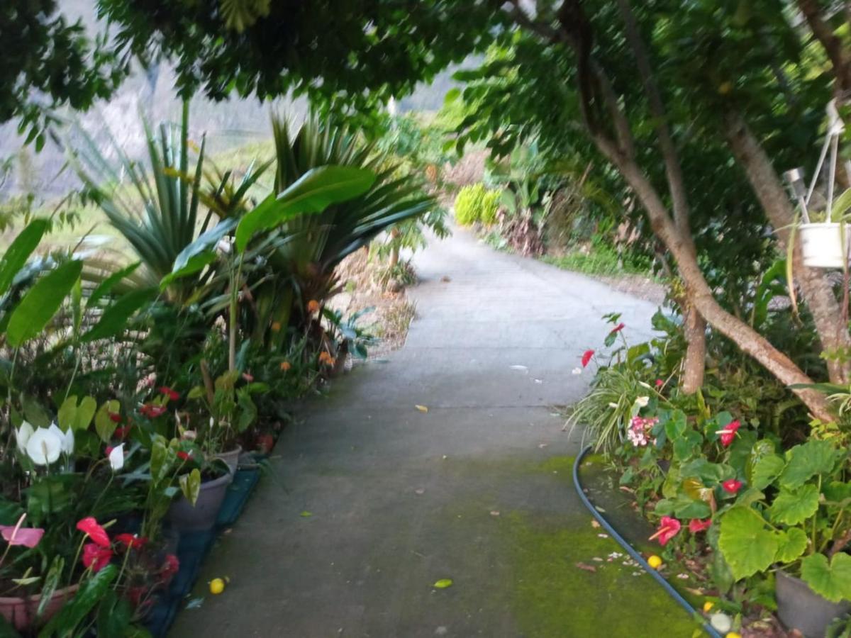 Bed and Breakfast Ker L'Ilet Cilaos Exterior foto